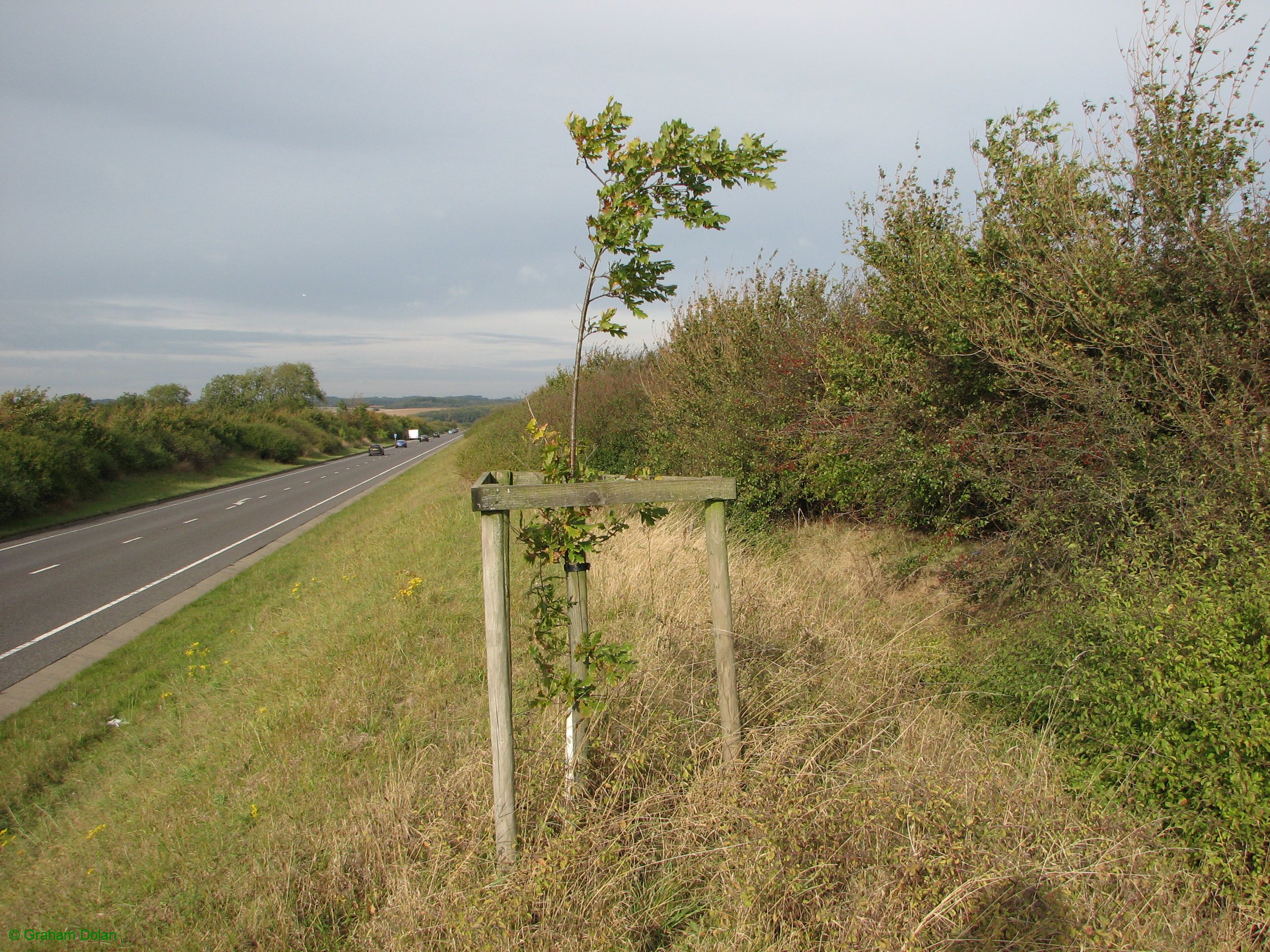 Greenwich Meridian Marker; England; Lincolnshire; Louth